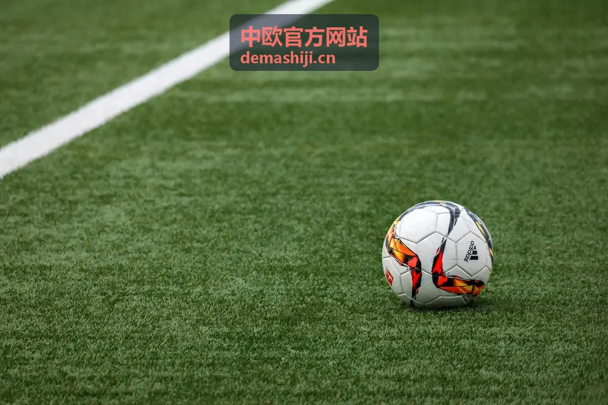 欧洲企业来华合作的场景示意图