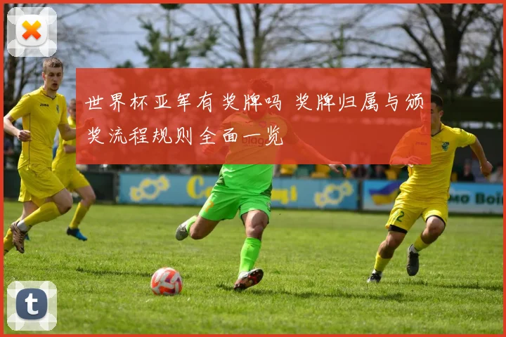 世界杯亚军有奖牌吗 奖牌归属与颁奖流程规则全面一览