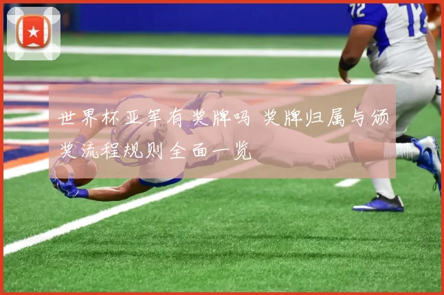 世界杯亚军有奖牌吗 奖牌归属与颁奖流程规则全面一览