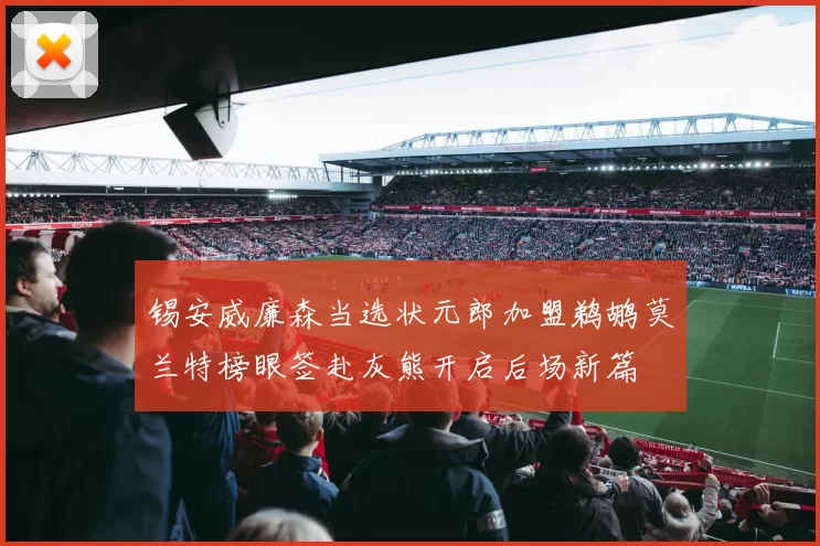 锡安威廉森当选状元郎加盟鹈鹕莫兰特榜眼签赴灰熊开启后场新篇